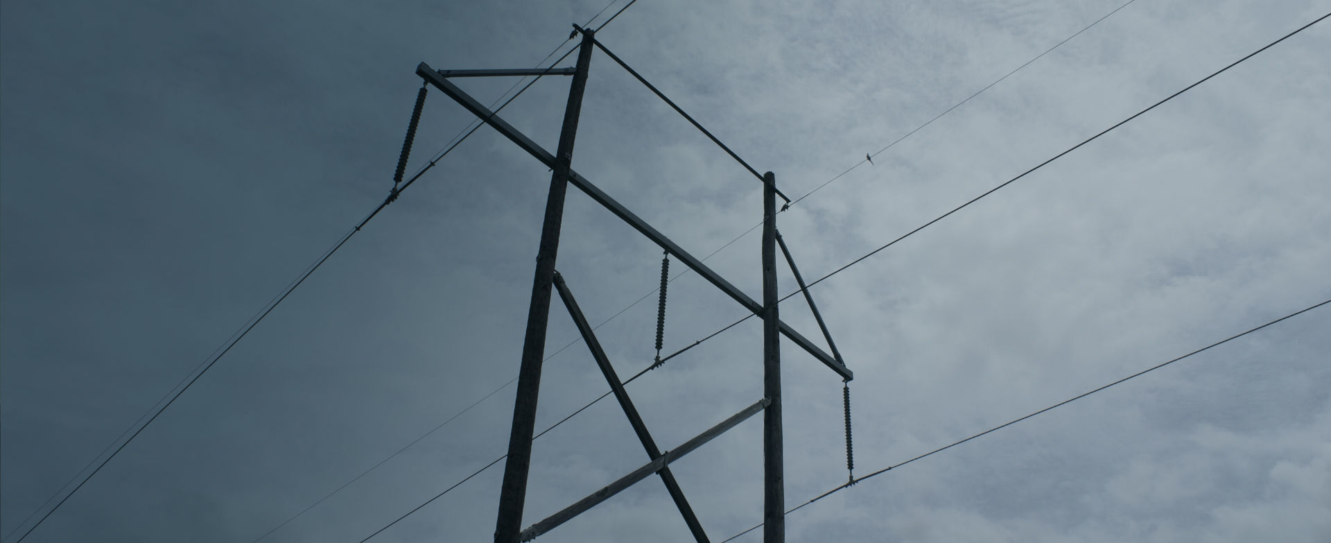 Ferrocarril - ElectroTAZ